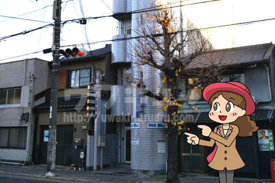 ガルエージェンシー京都