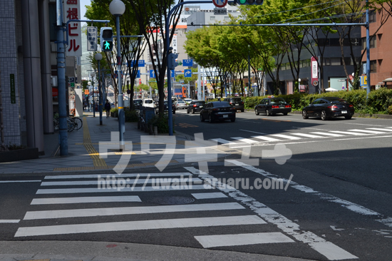 150m進むと横断歩道