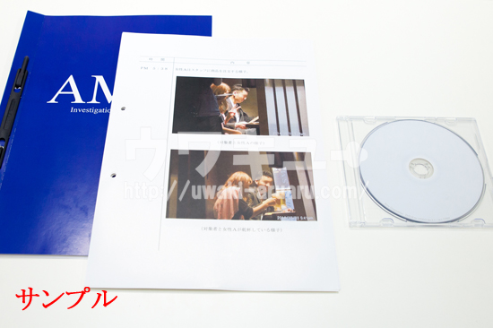 報告書サンプル