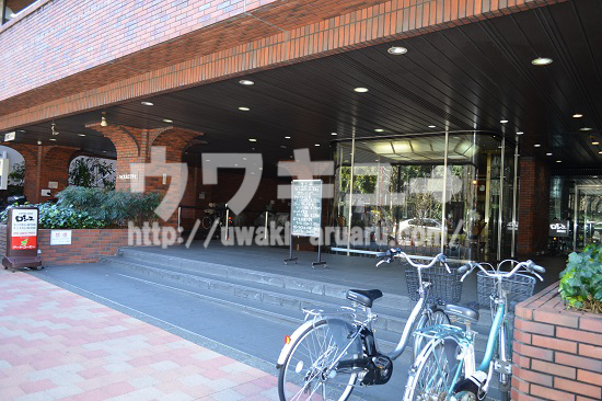 ハイネスロフティ前